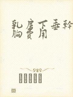 乳房下垂干瘪隆胸费用封面