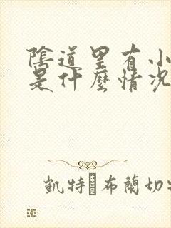 阴道里有小肉粒是什么情况