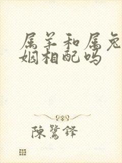 属羊和属兔的婚姻相配吗