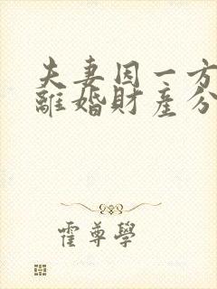 夫妻因一方出轨离婚财产分割