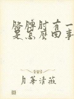 胳膊肘有一点疼是怎么回事封面