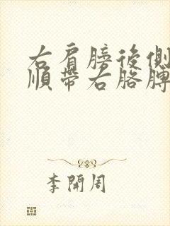 右肩膀后侧疼,顺带右胳膊疼封面