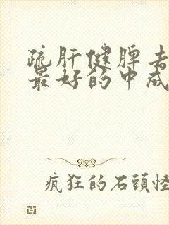 疏肝健脾去湿气最好的中成药有哪些