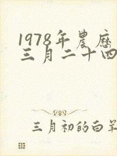 1978年农历三月二十四出生的人命运封面