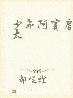 少年阿宾房东太太封面