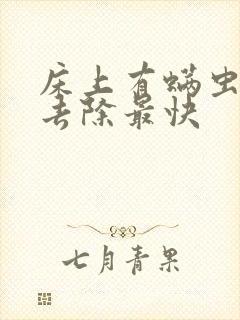 床上有螨虫怎么去除最快封面