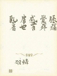 乳房感觉胀痛摸着也有疼痛感封面