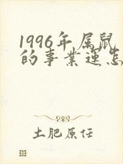 1996年属鼠的事业运怎么样