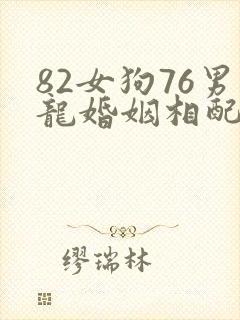 82女狗76男龙婚姻相配吗