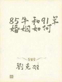 85牛和91羊婚姻如何