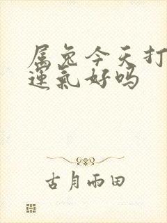 属兔今天打麻将运气好吗封面