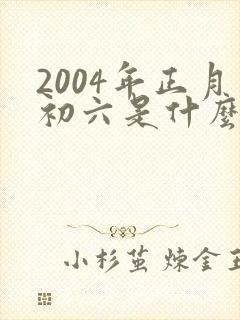 2004年正月初六是什么命