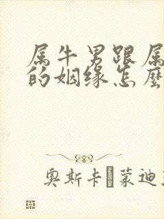 属牛男跟属牛女的姻缘怎么样