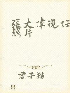 张大伟现任妻子照片