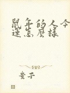 鼠年的人今年财运怎么样