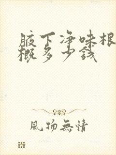 腋下净味根除大概多少钱