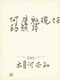 何庆魁现任老婆的照片