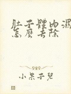 肚子体内湿气重怎么去除