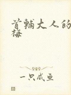 首辅大人的小青梅