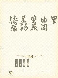 膝盖弯曲里面疼痛的原因封面