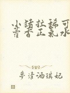 小猪拉稀可以用藿香正气水吗