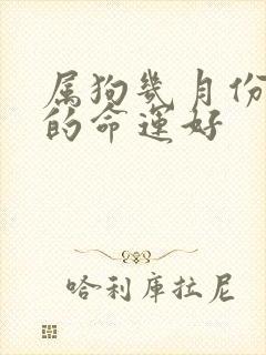 属狗几月份出生的命运好