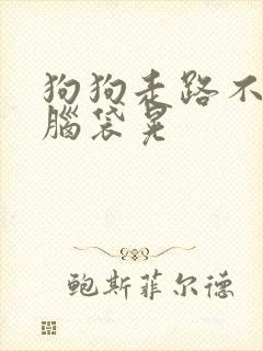 狗狗走路不稳抽脑袋晃