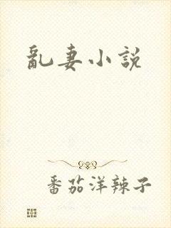 乱妻小说