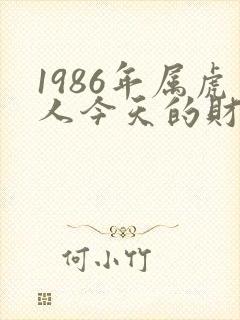 1986年属虎人今天的财运