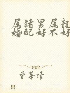 属猪男属龙女的婚配好不好