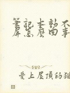 笔记本动不动黑屏怎么回事