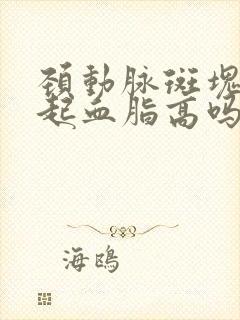 颈动脉斑块会引起血脂高吗