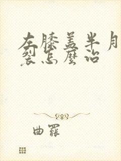 左膝盖半月板撕裂怎么治