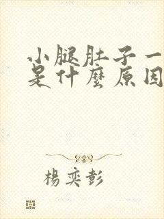 小腿肚子一直疼是什么原因封面