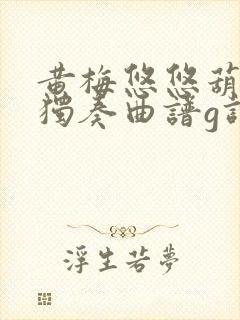 黄梅悠悠葫芦丝独奏曲谱g调封面