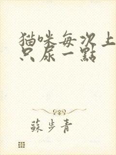 猫咪每次上厕所只尿一点