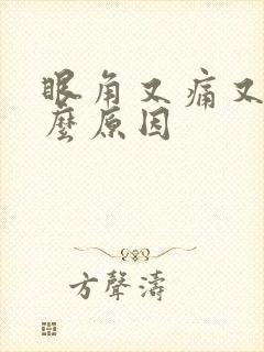 眼角又痛又痒什么原因封面