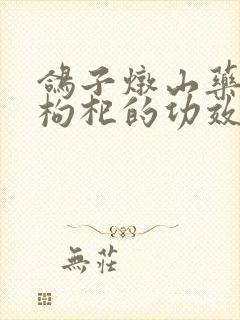 鸽子炖山药红枣枸杞的功效