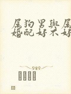 属狗男与属鸡女婚配好不好