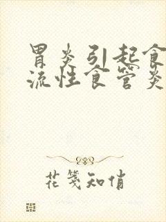 胃炎引起食管反流性食管炎