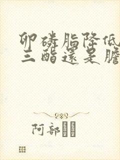 卵磷脂降低甘油三酯还是胆固醇