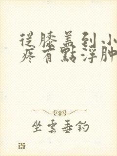 从膝盖到小腿酸疼有点浮肿是怎么回事