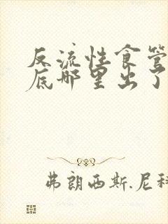 反流性食管炎到底哪里出了问题