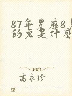 87年农历8月的兔是什么命