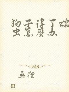 狗子得了蠕形螨虫怎么办封面