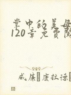 掌中的美母版主120章免费阅读封面