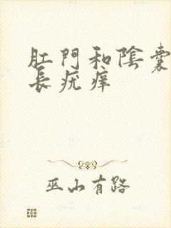 肛门和阴囊之间长疣痒