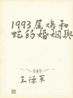 1993属鸡和蛇的婚姻与命运