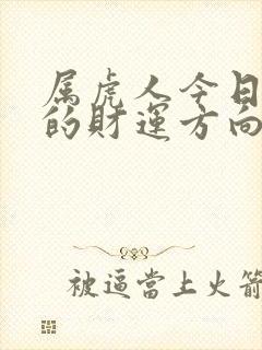 属虎人今日打牌的财运方向