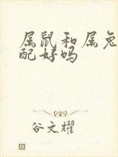 属鼠和属兔的婚配好吗封面